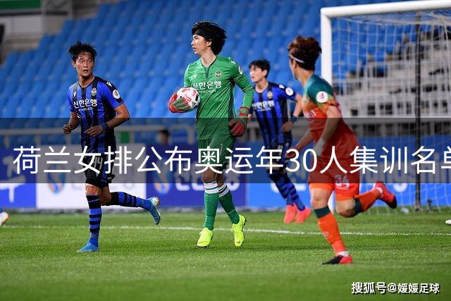 荷兰女排公布奥运年30人集训名单 核心老将重回国家队