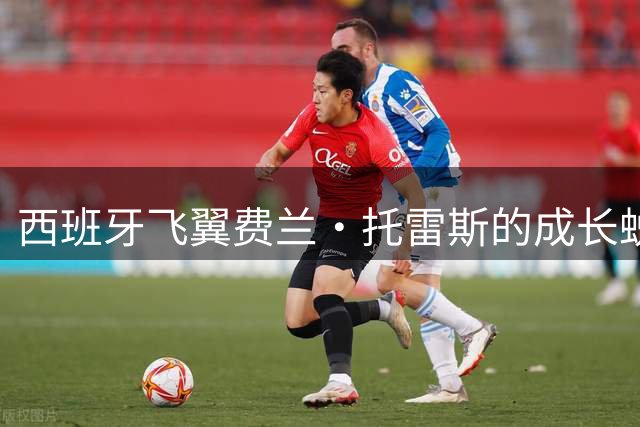 西班牙飞翼费兰·托雷斯的成长蜕变之路